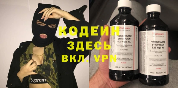 сатива Новодвинск