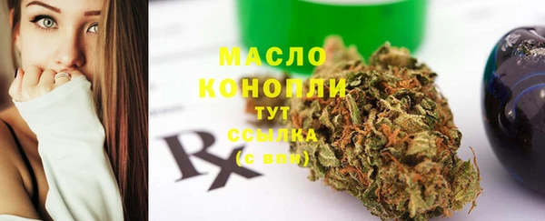 молекула духа Нягань