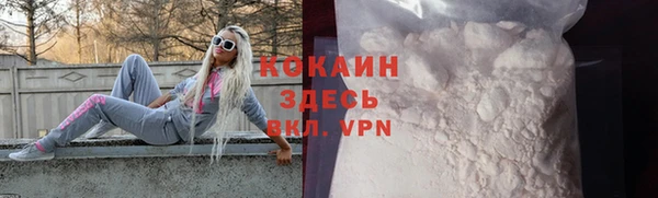сатива Новодвинск