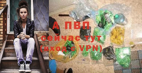 сатива Новодвинск