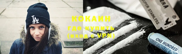 индика Нязепетровск