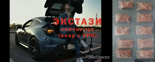 сатива Новодвинск