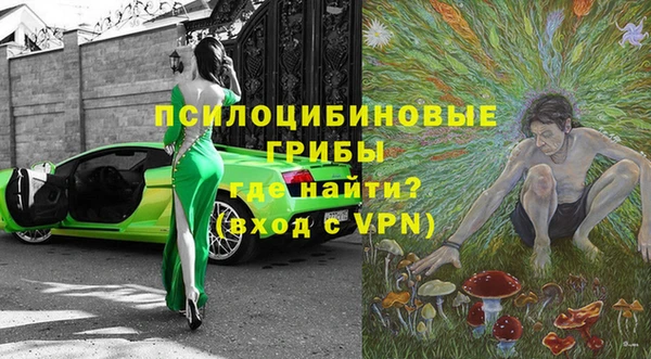 каннабис Новозыбков