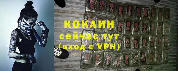 сатива Новодвинск