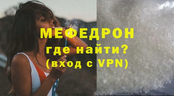 сатива Новодвинск