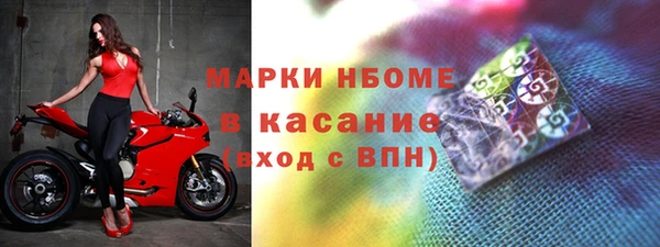 сатива Новодвинск