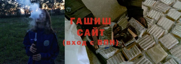 сатива Новодвинск