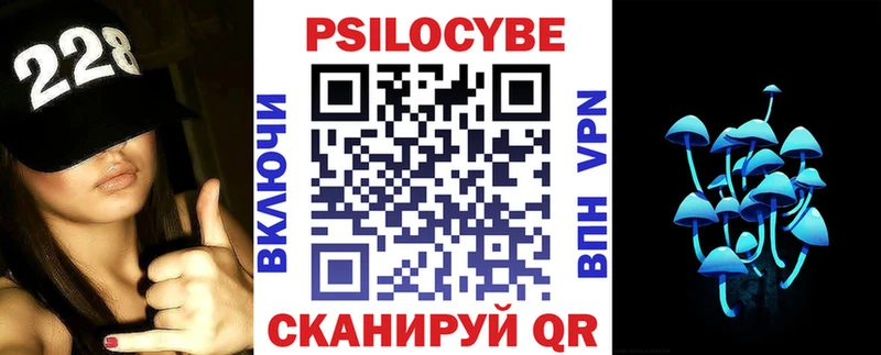 shop как зайти  цена   Опочка  Галлюциногенные грибы мицелий 